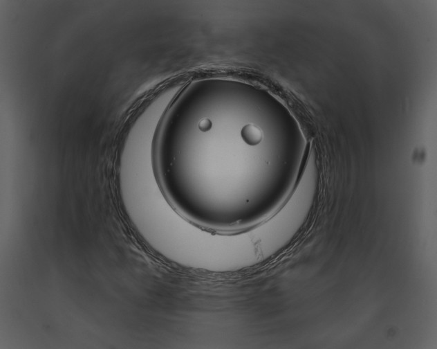X0000090951206200708241120