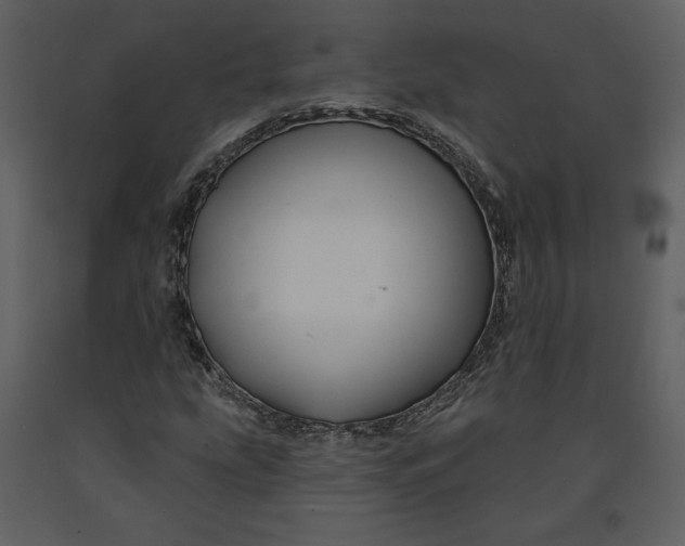 X0000090951207200708241120
