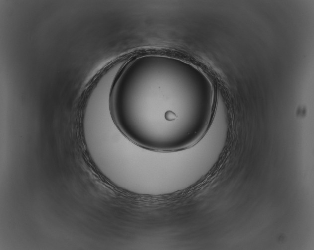 X0000090951208200708241120