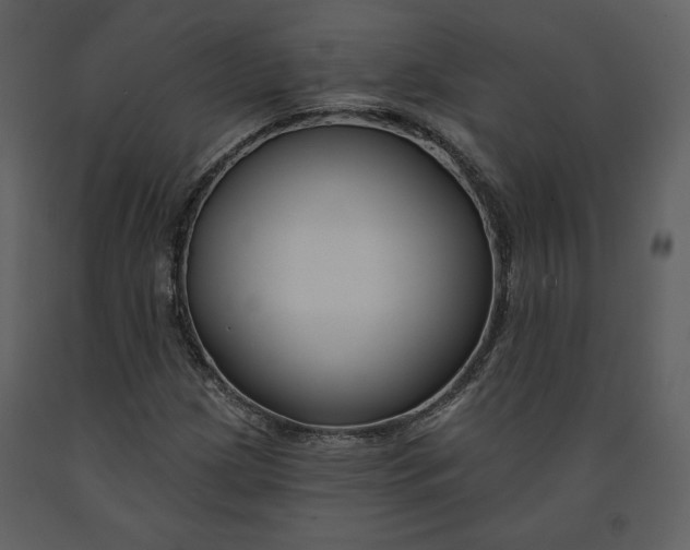 X0000090951209200708241120