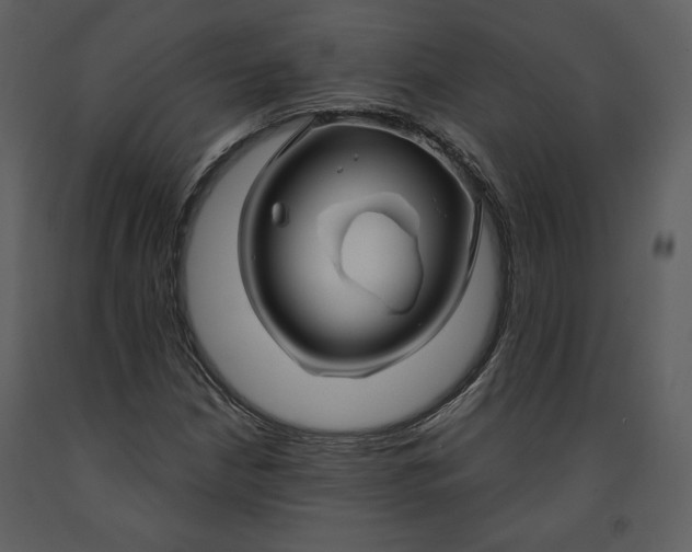 X0000090951210200708241120