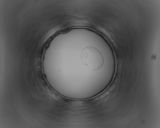 X0000090951211200708241120