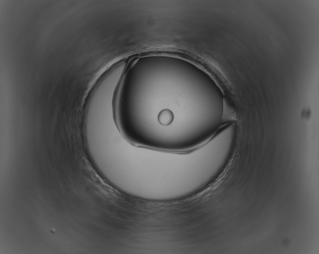 X0000090951212200708241120
