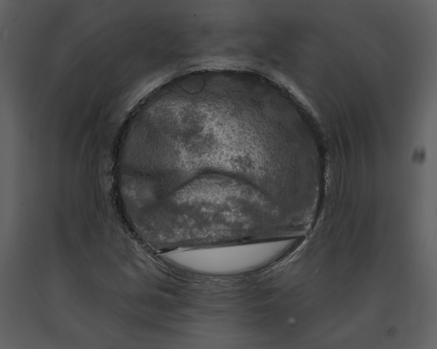 X0000090951213200708241120