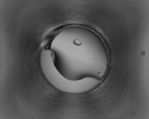 X0000090951214200708241120