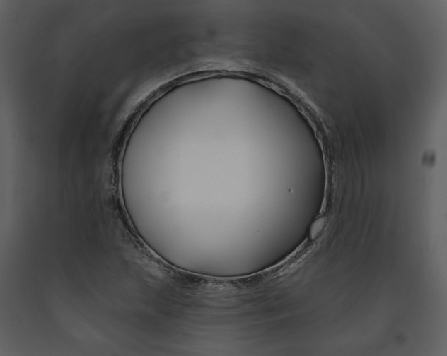 X0000090951215200708241120