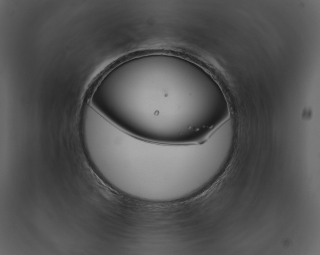 X0000090951216200708241120