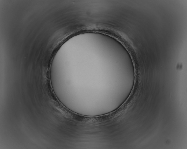 X0000090951217200708241120