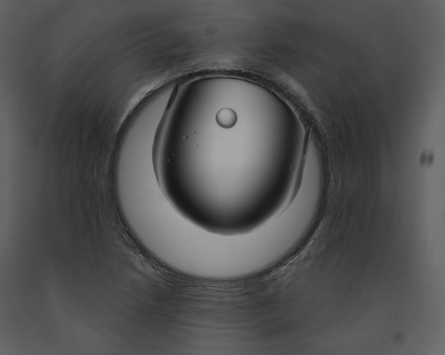 X0000090951218200708241120