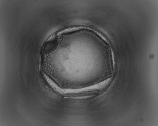 X0000090951219200708241120