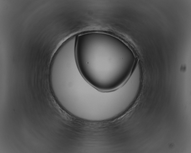 X0000090951220200708241120