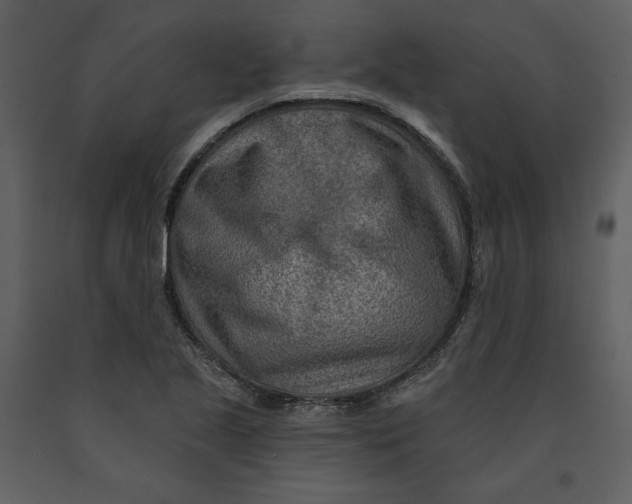 X0000090951221200708241120
