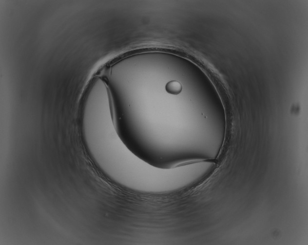 X0000090951222200708241120