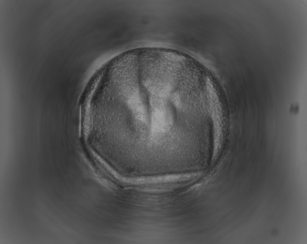 X0000090951223200708241120