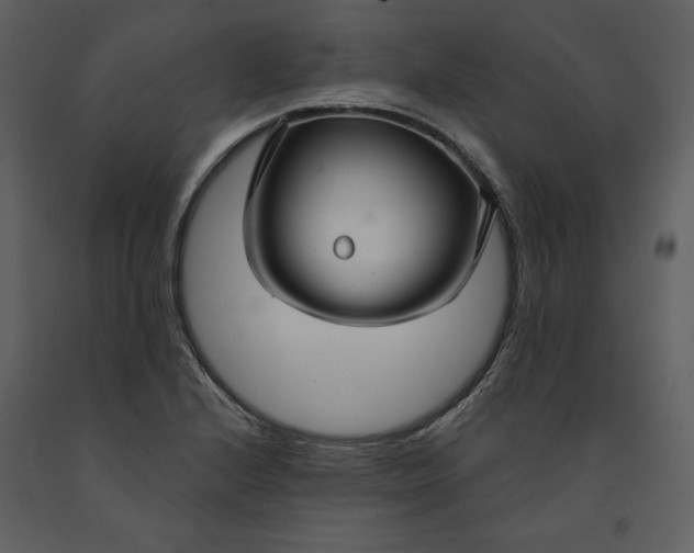 X0000090951224200708241120