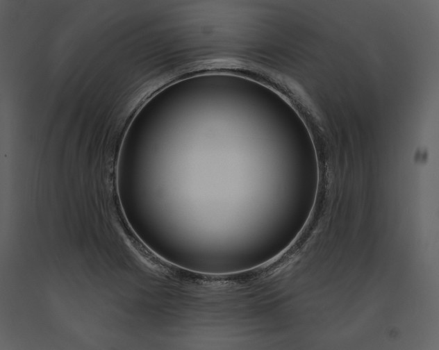 X0000090951225200708241120
