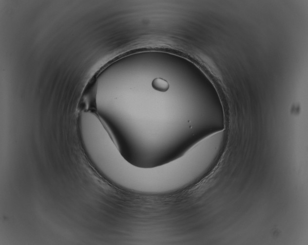 X0000090951226200708241120