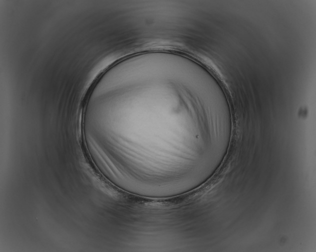 X0000090951227200708241120