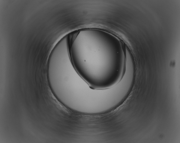 X0000090951228200708241120