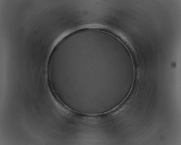 X0000090951229200708241120