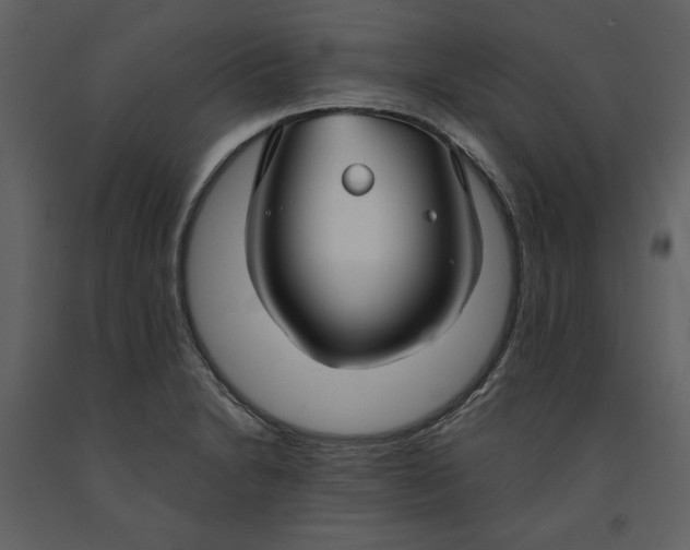 X0000090951230200708241120