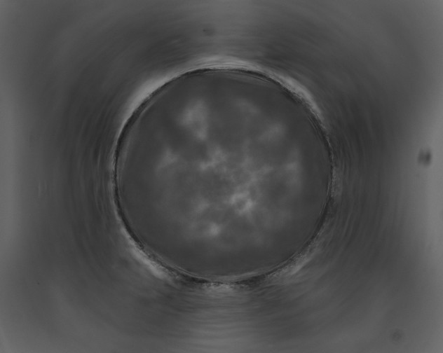 X0000090951231200708241120
