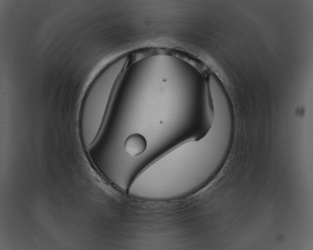 X0000090951232200708241120