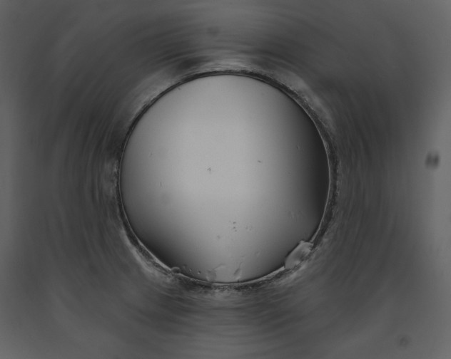 X0000090951233200708241120