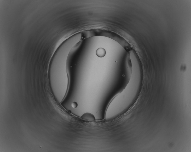 X0000090951234200708241120
