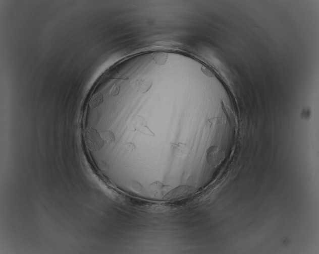X0000090951235200708241120
