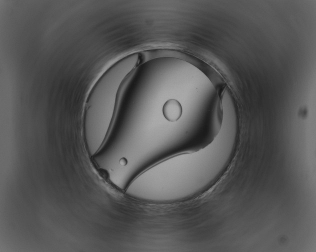 X0000090951236200708241120