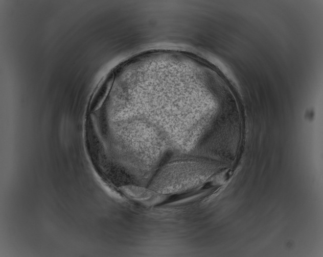X0000090951237200708241120