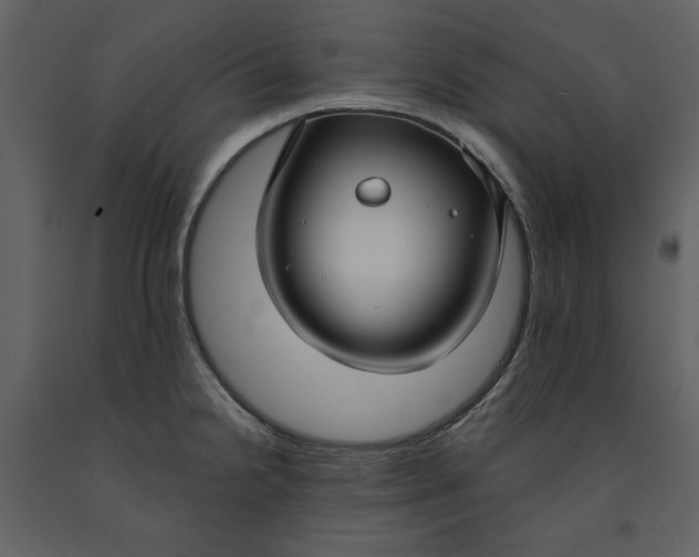 X0000090951238200708241120