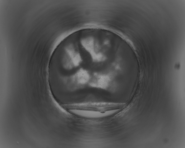 X0000090951239200708241120