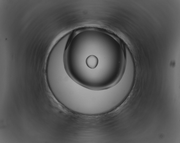 X0000090951240200708241120