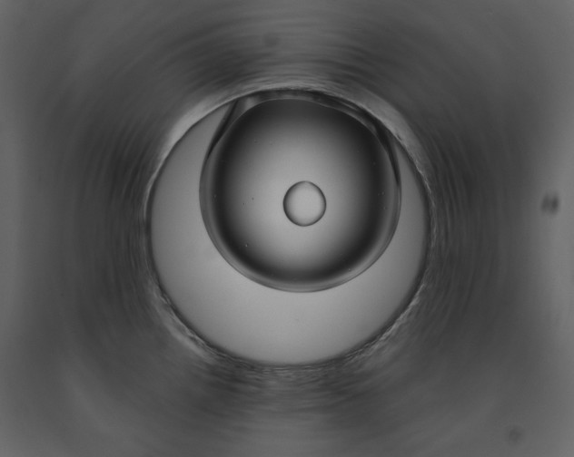 X0000090951242200708241120
