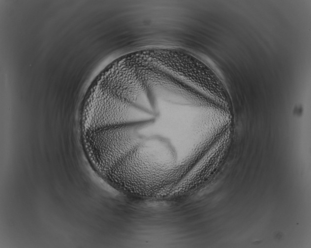 X0000090951243200708241120