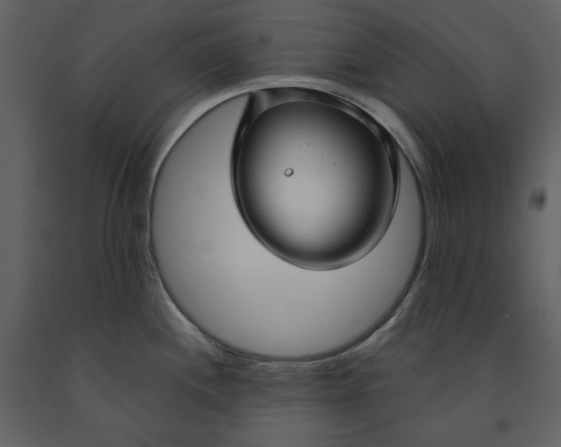 X0000090951244200708241121
