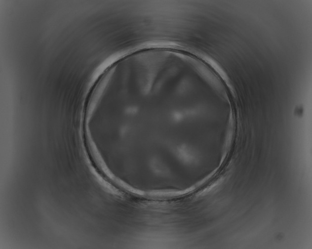 X0000090951245200708241121
