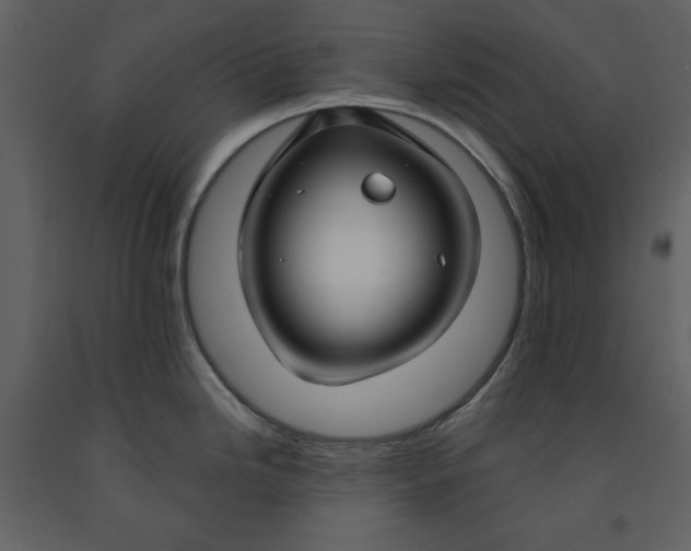 X0000090951246200708241121
