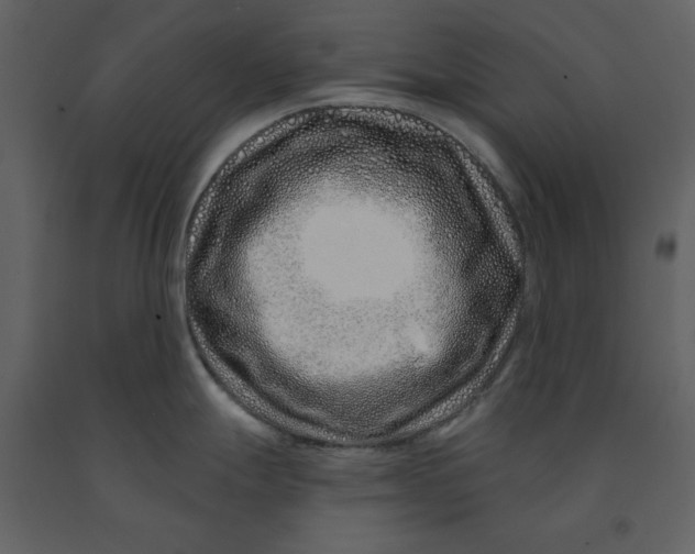 X0000090951247200708241121