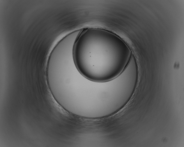 X0000090951248200708241121