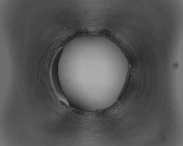 X0000090951249200708241120