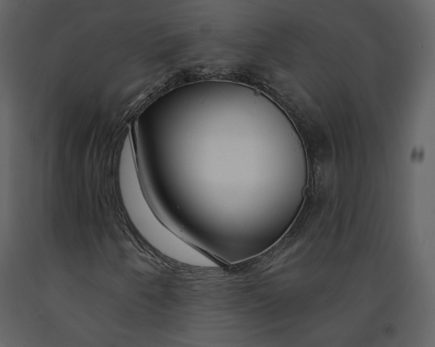 X0000090951250200708241120