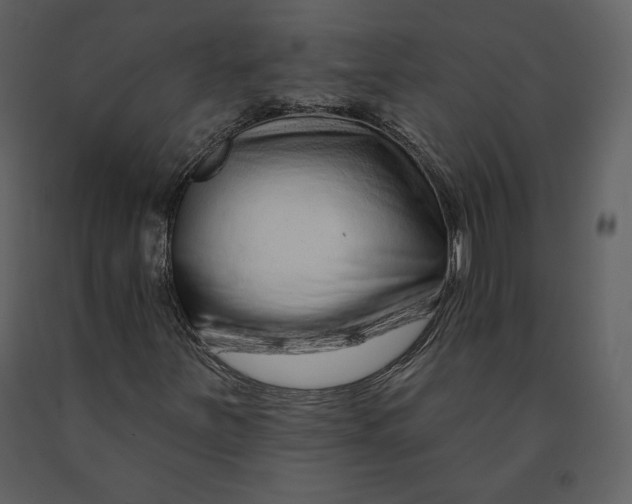 X0000090951251200708241120