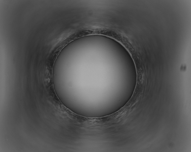 X0000090951253200708241120