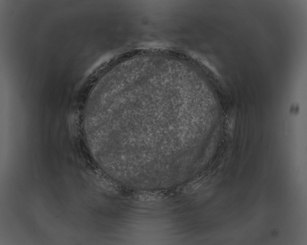 X0000090951254200708241120