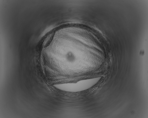 X0000090951255200708241120