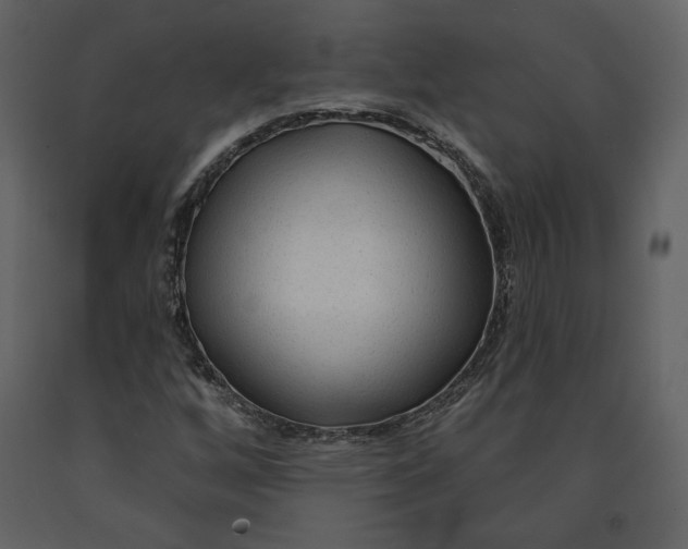 X0000090951256200708241120