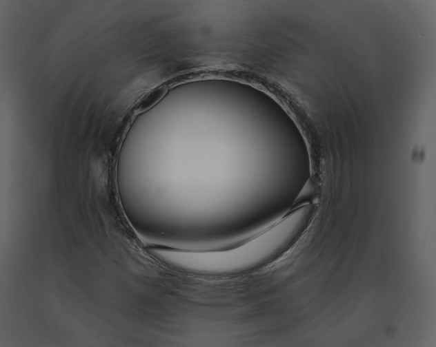 X0000090951257200708241120